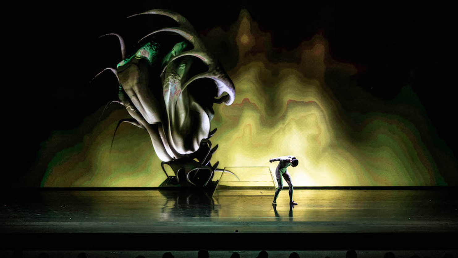 多媒体艺术表演「睡美人之梦」 Noitom诺亦腾官网